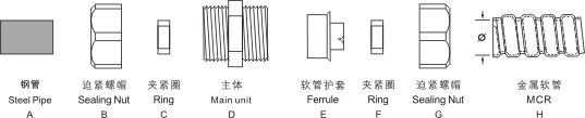 不锈钢防爆波纹管接头