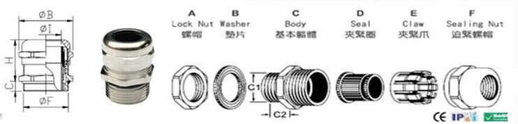 防爆格兰头